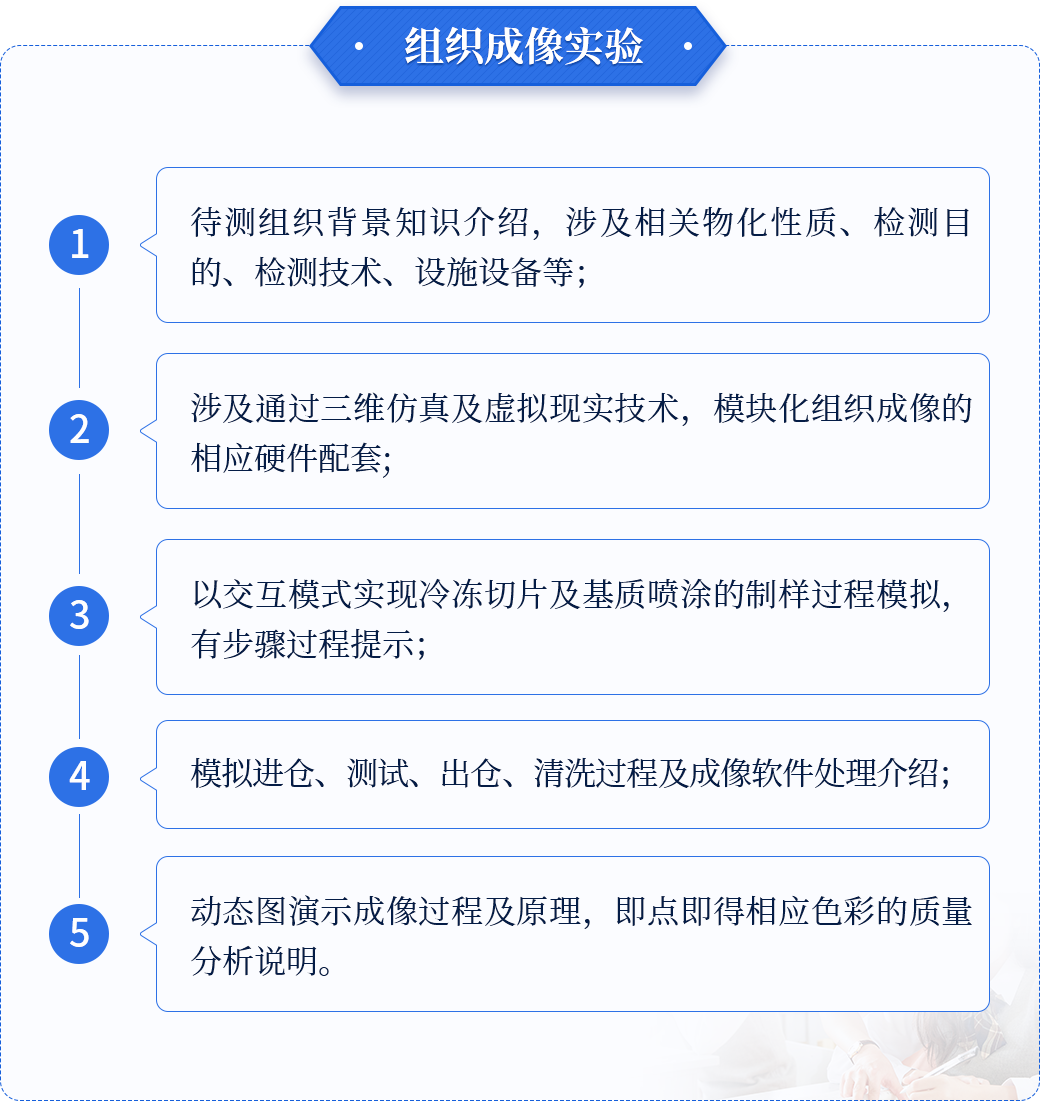 组织成像实验